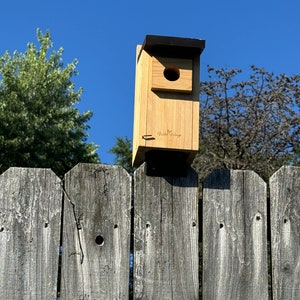 Birdhouse or Bird Feeder Mount for tops of wood fences with 5/8 or less thick boards. No posts needed.