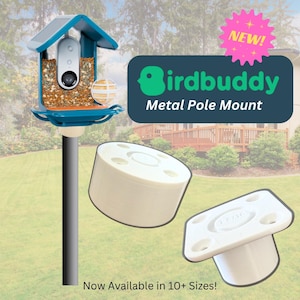 Puede incluir: Un comedero para pájaros turquesa y blanco con una cámara incorporada, montado en un poste de metal. La imagen también muestra componentes de montaje blancos y el texto "Birdbuddy Metal Pole Mount" y "Now Available in 10+ Sizes!"