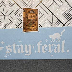 Stay Feral Cat Decal | Permanent Vinyl Sticker, Laptop Tumbler Customization image 3