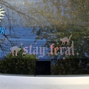 May include: A car window with a sticker that says "stay feral" in a gothic font. The sticker features three black cats and stars.