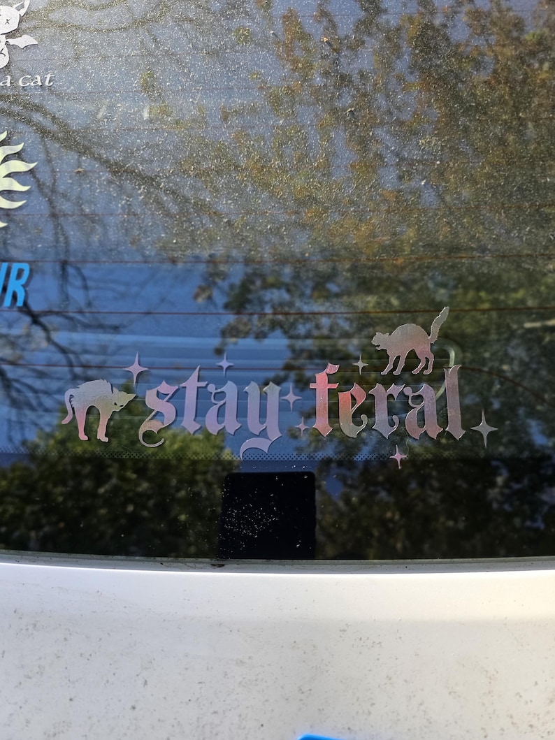 May include: A car window with a sticker that says "stay feral" in a gothic font. The sticker features three black cats and stars.