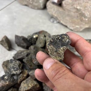May include: A hand holding a piece of pyrite, also known as fool's gold, with a metallic gold sheen. The pyrite is a dark gray color with flecks of gold. Other pieces of pyrite are in the background.