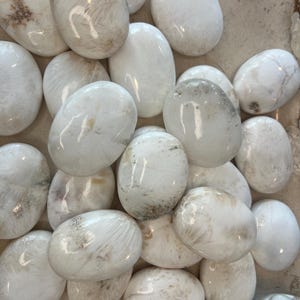 May include: A collection of white and brown polished stones, likely used for healing or meditation.