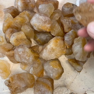 May include: A collection of raw, natural citrine crystals. The crystals are a light yellow color and have a translucent appearance. They are various sizes and shapes.