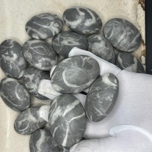 May include: A collection of smooth, gray stones with white veining. The stones are oval-shaped and vary in size. The image is a close-up shot, showing the texture and patterns of the stones. The stones are held by a gloved hand.