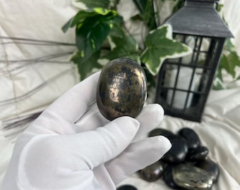 May include: A polished, oval-shaped pyrite stone, held in a gloved hand. The stone has a metallic, golden-brown color with a textured surface. Other polished stones are in the background, along with a black lantern and greenery.