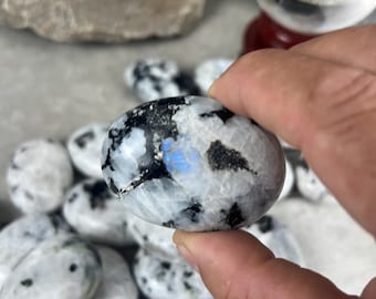 May include: A hand holding a polished, oval-shaped moonstone. The stone is primarily white with black speckles and patches, and exhibits a blue flash. Other moonstones are scattered in the background.