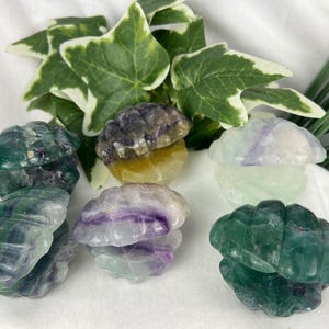 May include: A collection of carved fluorite gemstone sculptures in various colors, including green, purple, and yellow. The sculptures are shaped like stylized clouds or shells. Green and white foliage is in the background.