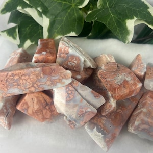 Antique Rose Agate Palm Stone: Polished Crystal for Meditation