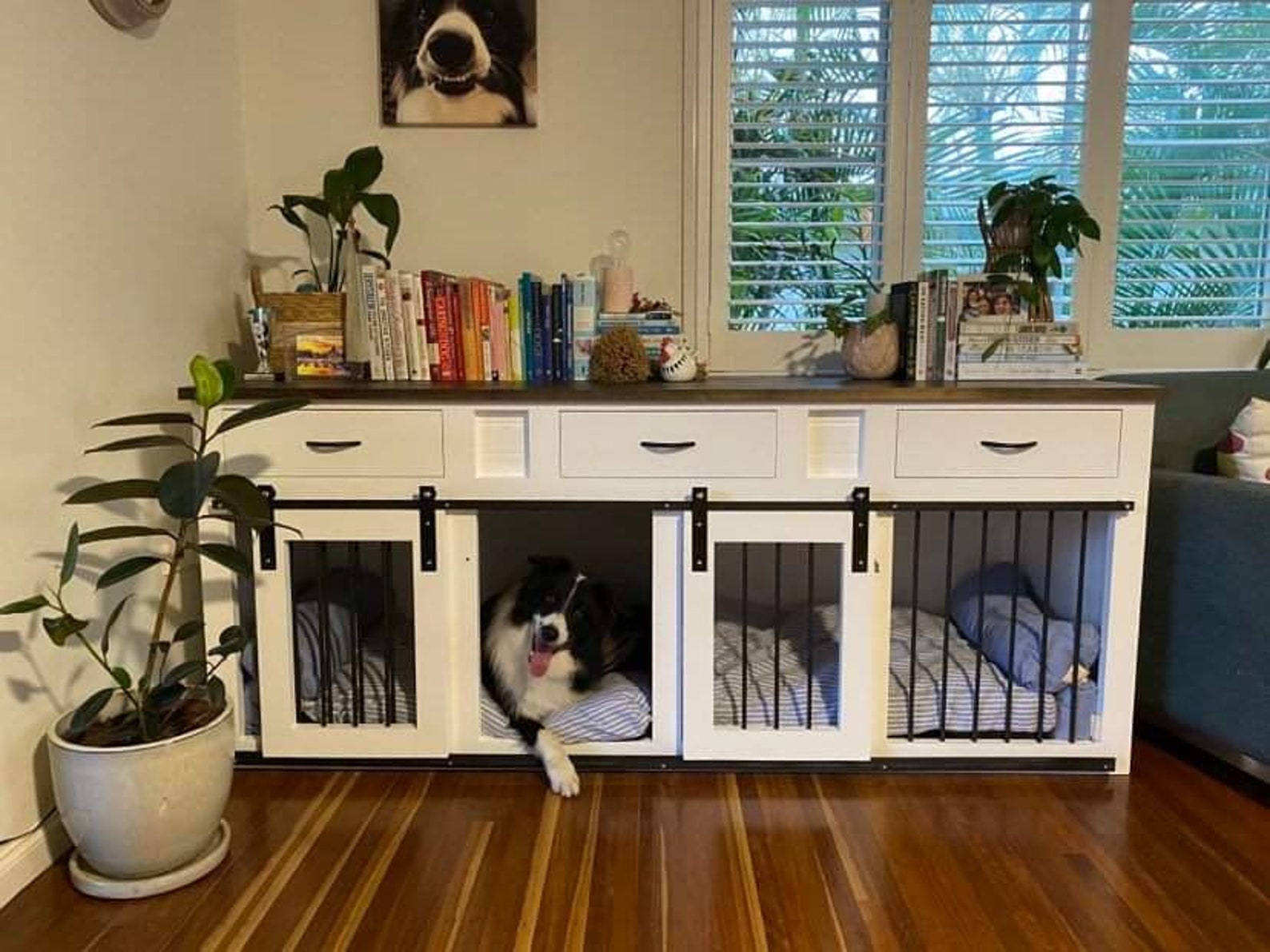 Two dogs inside a wooden dog crate