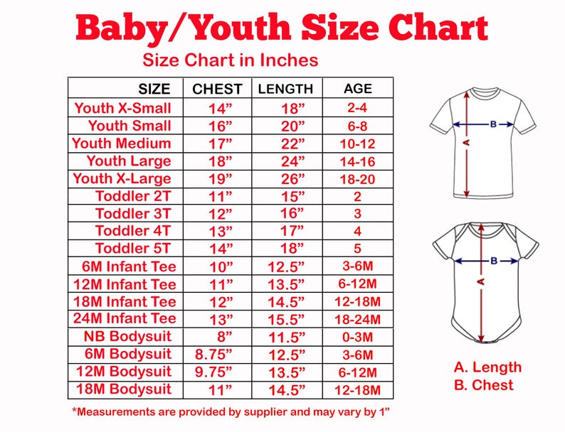 15 Birthday Shirt Teenage Boy Gift For Teen Girl T Shirt Customize Year 15th Bday TShirt B Day Personalized Niece Nephew Tee Vintage 2011 image 2