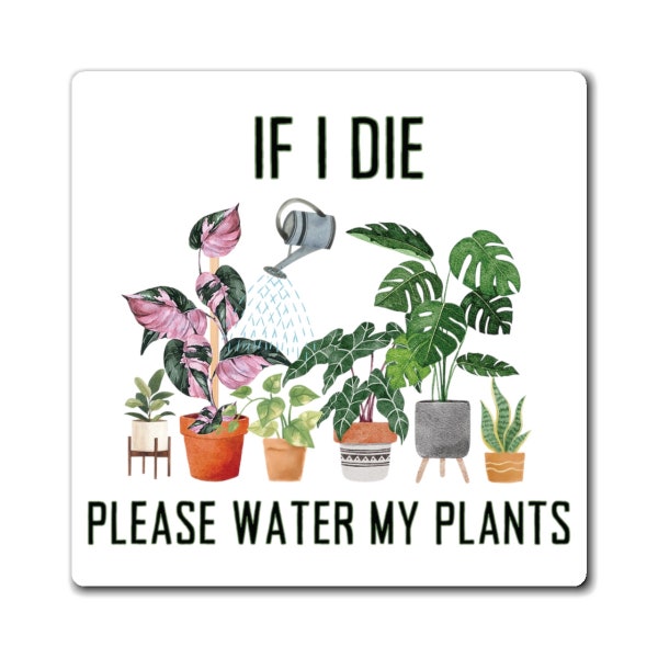 Funny Plant Magnet | Plant Parent Gift | Gift For Plant Mom | Rare Tropical Plants | Monstera Albo Magnet | Pink Princess Philodendron