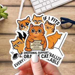 Set di adesivi meme gatto arancione - Adesivi in vinile divertenti - Resistenti all&#39;acqua - Adesivi in vinile fustellati - Computer portatili, bottiglie d&#39;acqua