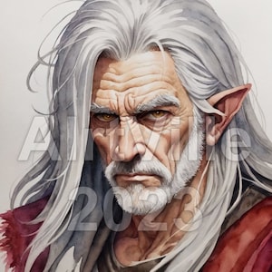 Old Male Elf Digital Fantasy Art NPC Instant Download image 1