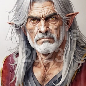 Old Male Elf Digital Fantasy Art NPC Instant Download image 4