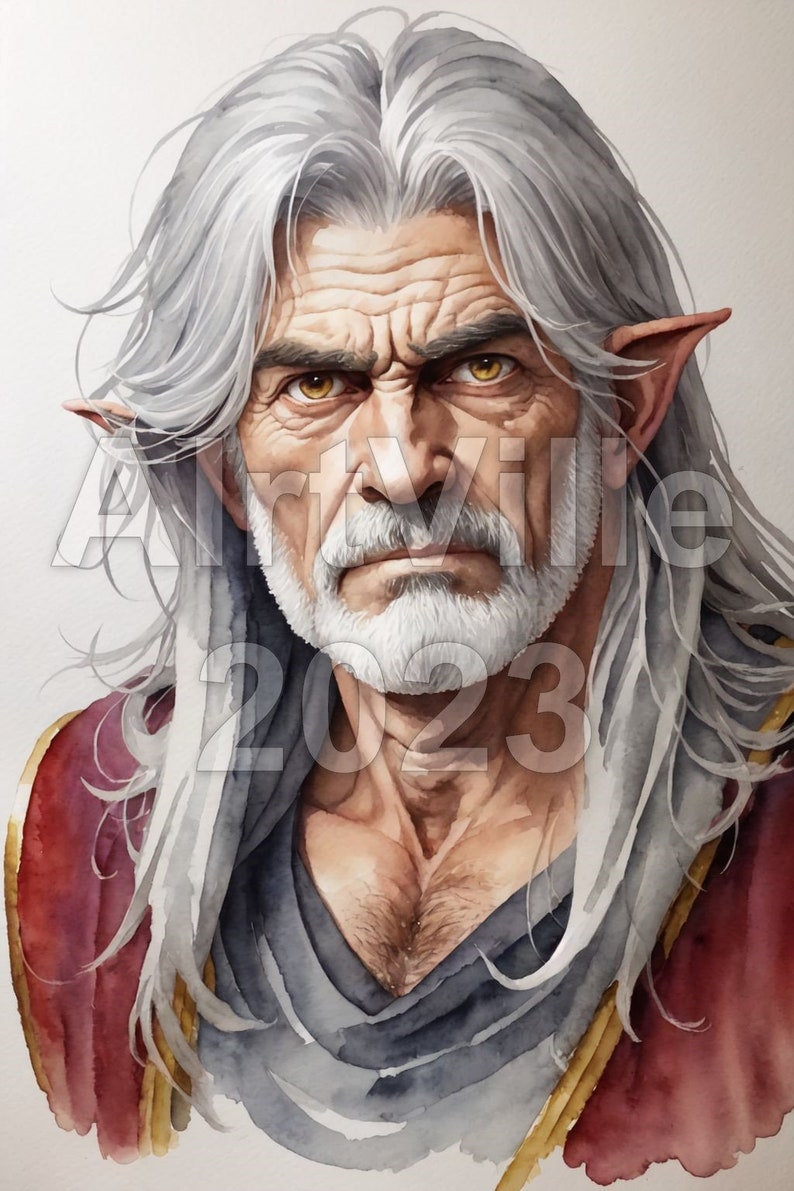 Old Male Elf Digital Fantasy Art NPC Instant Download image 4