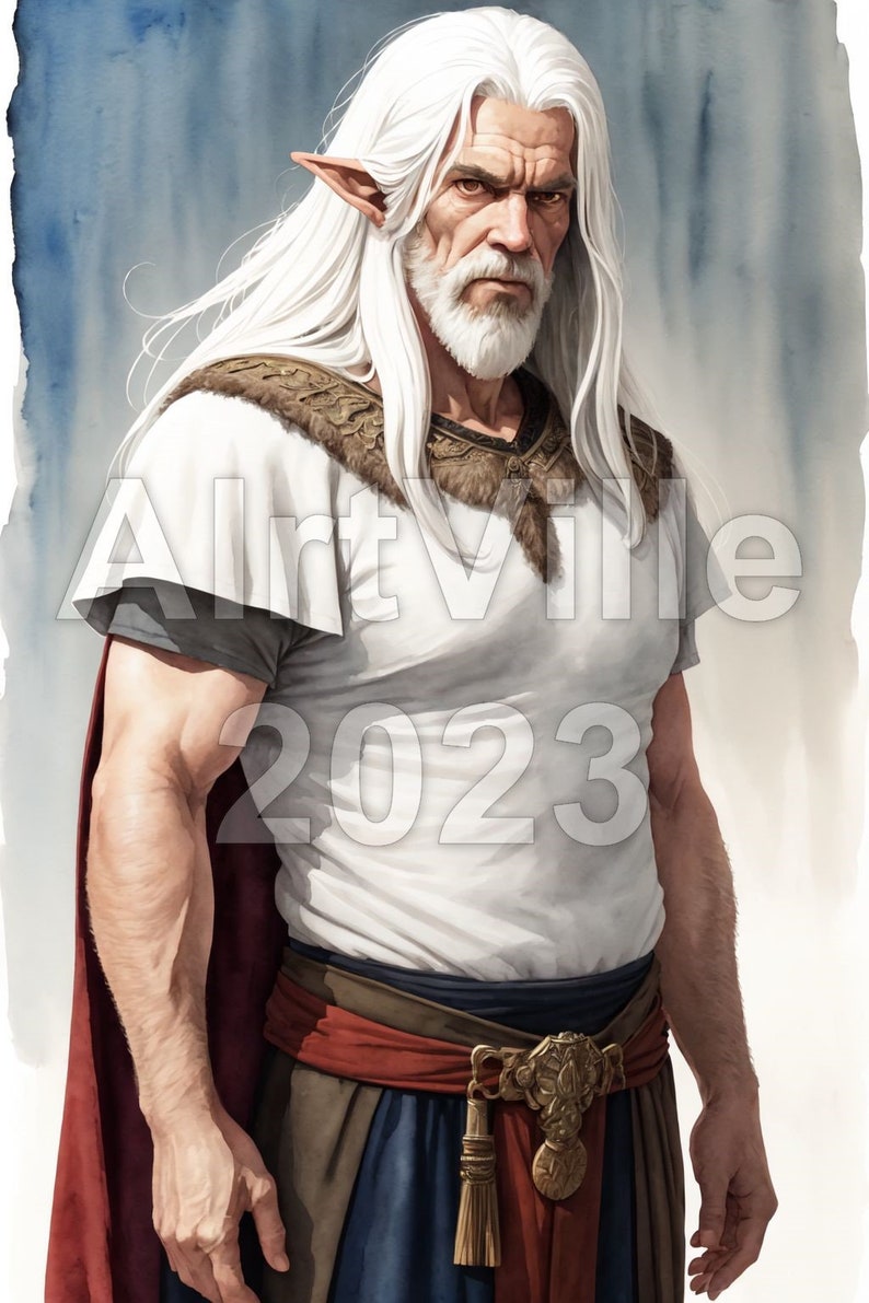 Old Male Elf Digital Fantasy Art NPC Instant Download image 3