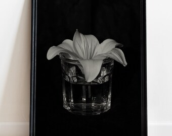 Black and White Floral Art Print, Luxury Home Decor