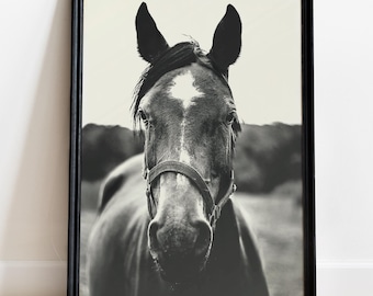 Poster di cavallo selvaggio in bianco e nero, arte murale equestre
