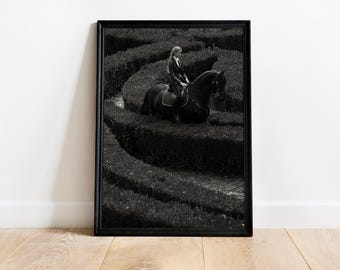 Black and White Horse Print: Equestrian Wall Art