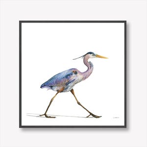 Stampa ad acquerello di airone azzurro – Uccello costiero da parete, decorazione per la casa ispirata alla natura, giclée, belle arti / 12x12&quot;