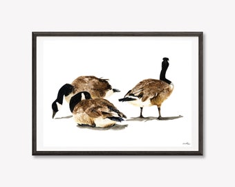 5x7" Print Canadian Geese Original Watercolour Painting | Also Available as 8.5x11" and 13x19" Prints