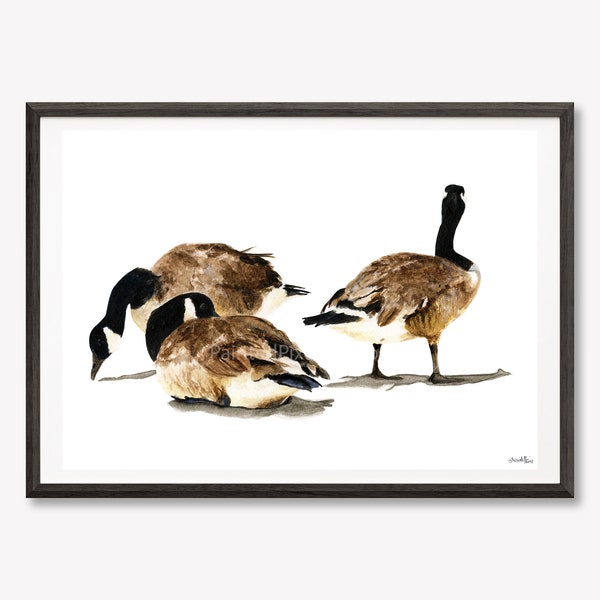 13x19" Print Canadian Geese Original Watercolour Painting | Also Available as 5x7" and 8.5x11" Prints