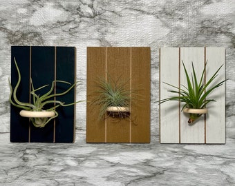 Air Plant Holder WITH Air Plant | Rectangular 3 Panel Hanging Air Plant Holder | Home Decor | Wall Hanging