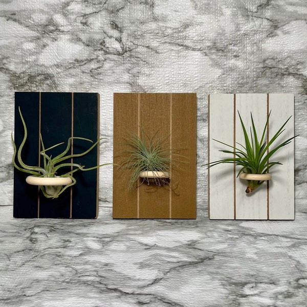 Air Plant Holder WITH Air Plant | Rectangular 3 Panel Hanging Air Plant Holder | Home Decor | Wall Hanging