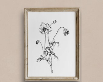 PRINTABLE botanical art | botanical sketch | neutral art | sketch drawing | flower drawing