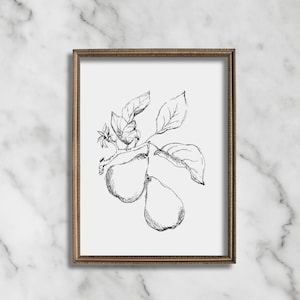 PRINTABLE pears sketch |  still life | minimalist drawing | neutral art | fruit illustration