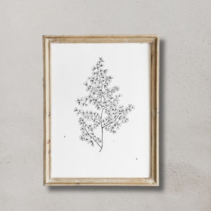 PRINTABLE botanical sketch | flower sketch art | neutral art | black and white drawing