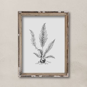 PRINTABLE botanical sketch | flower sketch art | neutral art | nature drawing