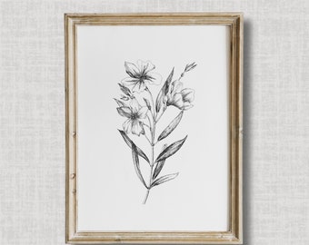 PRINTABLE botanical art | botanical sketch | neutral art | sketch drawing | flower drawing