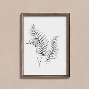 PRINTABLE botanical sketch | Fern sketch art | neutral art | nature drawing