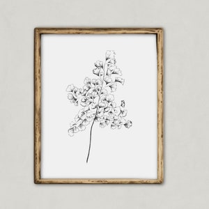 PRINTABLE botanical sketch | Fern sketch art | neutral art | nature drawing