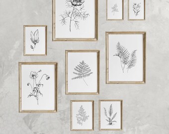 白黒植物スケッチ集 - Etsy 日本