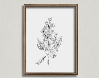 PRINTABLE botanical sketch | flower sketch art | neutral art | nature drawing