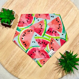 Summer Juicy Watermelons - Pet dog cat snap on reversible pet bandana accessories