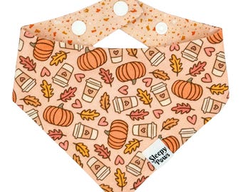 Pumpkin Spice Season Pet Bandana