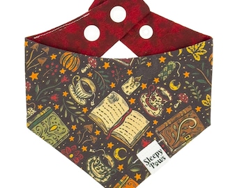 Candlelit Chapters - whimsical reading book candlelight vibes - Pet dog cat snap on reversible pet bandana accessories