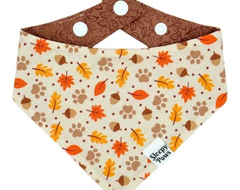 Autumn Strolls Pet Bandana