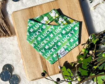 Lucky Lucky Lucky Pet Bandana