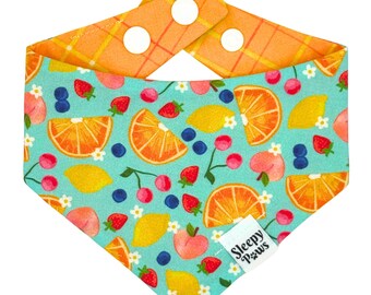 Juicy Fruits Pet Bandana