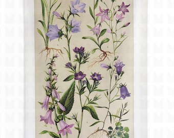 Botanical Purple Flowered Plants Indoor Wall Tapestries, Antique Floral Tapestry, Nature Lover Gift