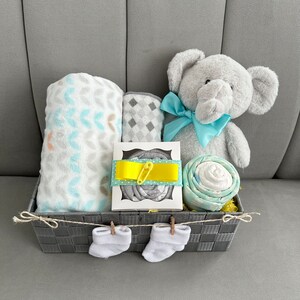 Baby Neutral Gift Basket/New Baby Gift Basket/Baby Shower Gift/Welcome Baby Gift/Baby Gift Basket/Baby Basket & Toy/Baby Basket with Blanket