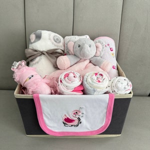 Baby Girl Gift Basket/New Baby Gift Basket/Baby Shower Gift/Welcome Baby Gift/Baby Gift Basket/Mommy to be Gift/Baby Basket with Blanket