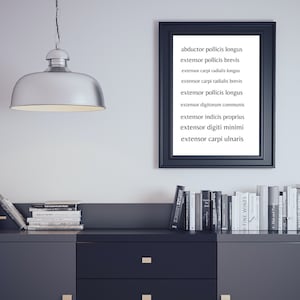 Human Body Anatomy Physical Therapy | Anatomy Art | Medical Art | Human Anatomy Art | Clinic Decor |  Printable Anatomy Art Set | Art Print