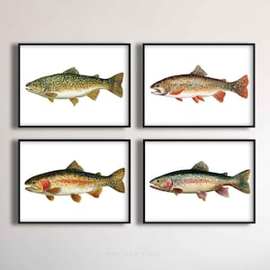 Vintage Trout Fish Prints Bundle – Rustic Fish Illustrations, Cabin Wall Art, Nature Lover’s