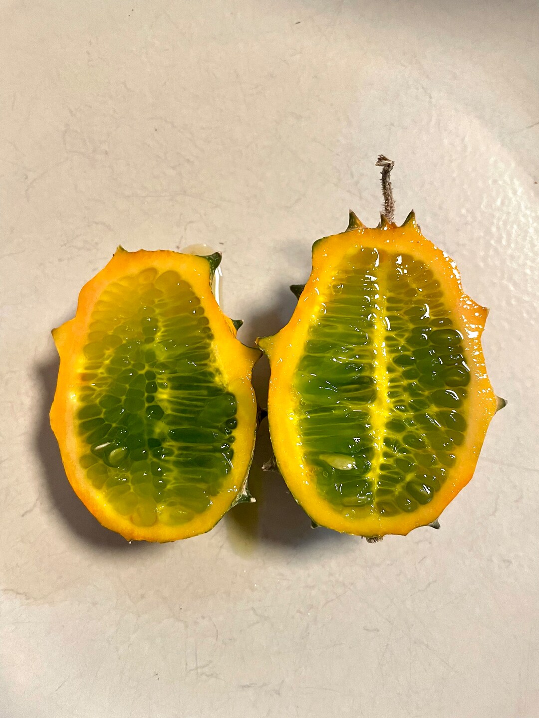 Kiwano Jelly Melon African Horned Cucumber Horned Melon Horned Etsy